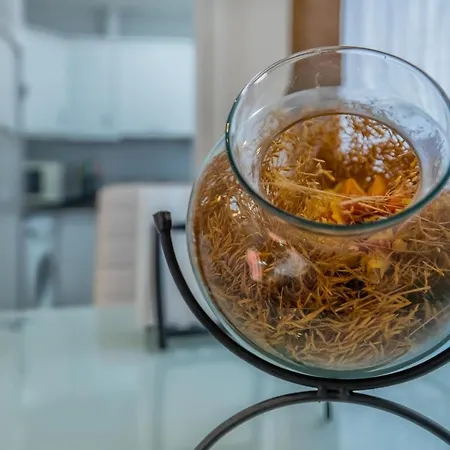 Zafiro Apartment&parking In The Historical Centre *