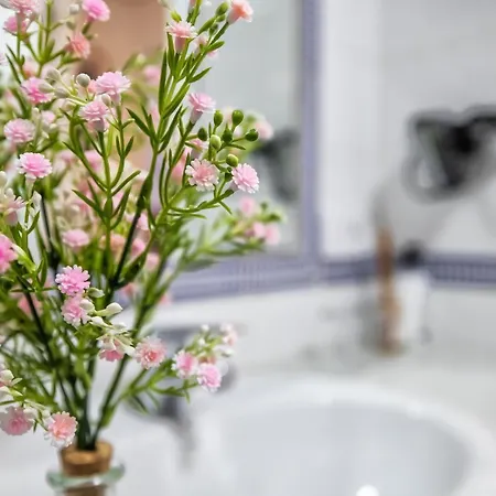 Zafiro Apartment&parking In The Historical Centre Lejlighed *