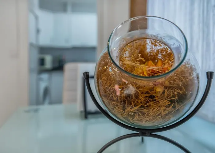 Zafiro Apartment&parking In The Historical Centre *